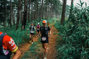 BIB: 
                            <button type="button" onclick="openModal(25657584)" class="btn btn-primary btn-sm float-right btn-popup" data-toggle="modal" data-target=".modal-high-quality">
                        <i class="fas fa-shopping-cart"></i> Add to Cart
                    </button>
                                            <button type="button" onclick="isThisMe(25657584, true)" class="btn btn-success btn-sm float-right btn-popup btn-isme hidden" data-toggle="tooltip" data-placement="bottom" title="นี่คือรูปของคุณใช่ไหม คลิกที่นี่เพื่อเอาเข้าอัลบั้ม">
                        <i class="fas fa-plus"></i> Add to album
                    </button>
                    <button type="button" onclick="isThisMe(25657584, false)" class="btn btn-warning btn-sm float-right btn-popup btn-isnotme hidden">
                        <i class="fas fa-ban"></i> Remove from album
                    </button>